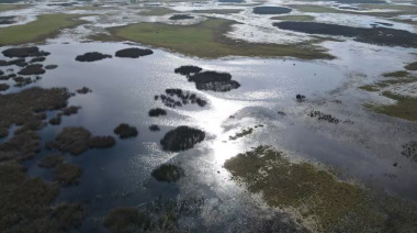 "La cosa está desmadrada": Oscuro panorama de la Sociedad Rural nuevejuliense ante las inundaciones
