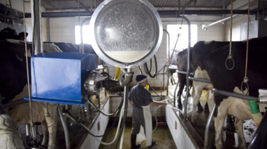 Más de 1.000 tambos cerraron en el país desde que asumió Milei