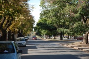 Aclaran que Transporte "no financiará la ciclovía de Avenida San Martín"