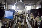Más de 1.000 tambos cerraron en el país desde que asumió Milei