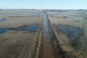 Nación declaró a Junín y otros nueve municipios bonaerenses en emergencia agropecuaria