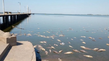 Gran mortandad de peces en la Laguna de Gómez