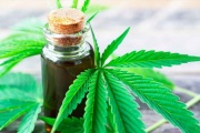 Las ONG podrán cultivar cannabis medicinal y representar a 150 personas