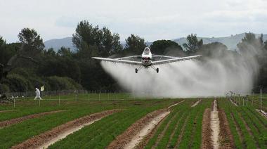 Otra vez el envenenamiento a la carta