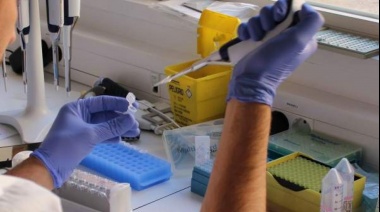 Preocupan los casos de Fiebre Hemorrágica Argentina en el norte bonaerense