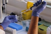 Preocupan los casos de Fiebre Hemorrágica Argentina en el norte bonaerense