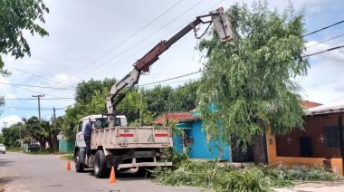EDÉN cortará la luz en un barrio de Junín para realizar tareas de poda