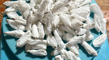 Cinco detenidos y casi 300 dosis de cocaína secuestradas en una serie de allanamientos en el barrio 12 de Octubre