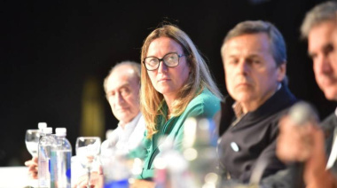 Arata: "Este fue un voto de confianza y espero que el gobierno lo sepa utilizar"