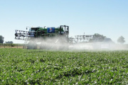 Simplifican trámites para el comercio e importación de agroquímicos