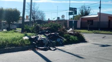 Abandono total: Ya no se recogen montículos ni podas