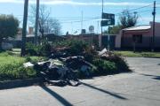 Abandono total: Ya no se recogen montículos ni podas