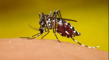 Preocupa el brote de dengue en 17 localidades bonaerenses