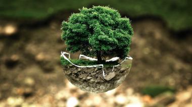 Dia Mundial del Medio Ambiente
