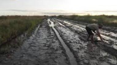 Fallo judicial: Municipios santafesinos no podrán cobrar tasas por caminos rurales sin contraprestación