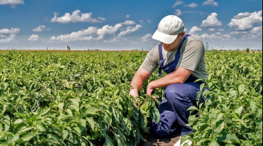 Incrementan un 5% el monto de la prestación por desempleo para trabajadores rurales