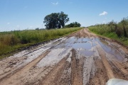 En el barro y a los apurones Petrecca saca otro conejo de la galera