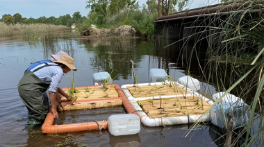 Colocan islas flotantes artificiales en la laguna de Chascomús