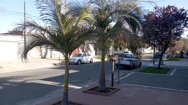 Entre necesidades, rezongos y belleza