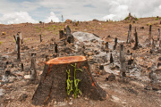 El daño ambiental precisa su marco legal