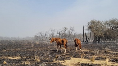 Incendios, sequía e inundaciones, un combo fatal