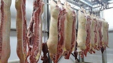 Más faena, más vacas ¿menos parrillas?