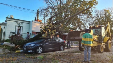 Intenso trabajo en Vedia tras los daños ocasionados por la tormenta