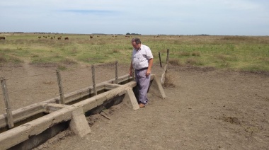Preocupa la falta de montes en los campos bonaerenses
