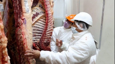 Carne: el Gobierno no permitirá exportar algunos cortes
