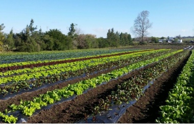 Agroecología y arraigo: Un tren para no dejar pasar