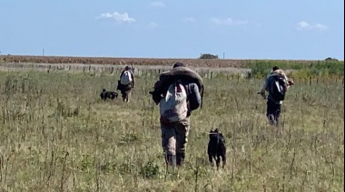 Chascomús: Denuncian caza furtiva y carreras de galgos en la zona rural