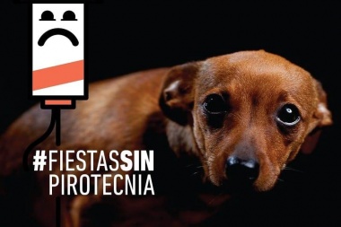Lanzaron nueva campaña contra el uso de la pirotecnia