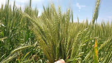 Agroecología, con el lápiz en la oreja