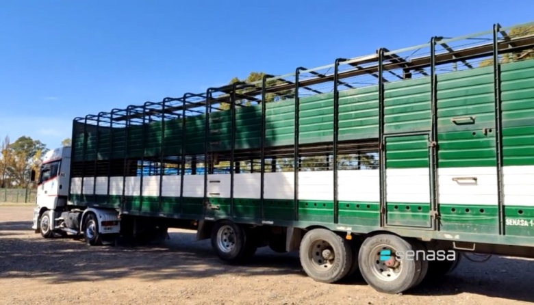 El Senasa autoriza que los camiones de ganado descarguen los excrementos sobre la vía pública