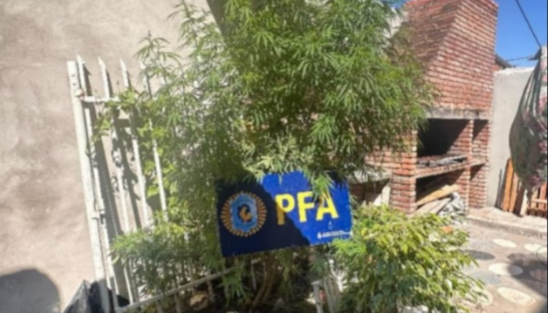 Detuvieron  a seis policías sospechados de favorecer a una banda narco