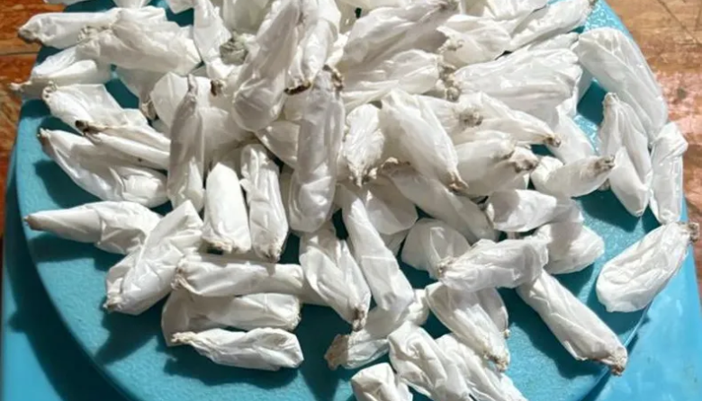 Cinco detenidos y casi 300 dosis de cocaína secuestradas en Pergamino