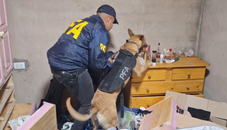 Desarticulan varios puntos de venta de drogas en Junín