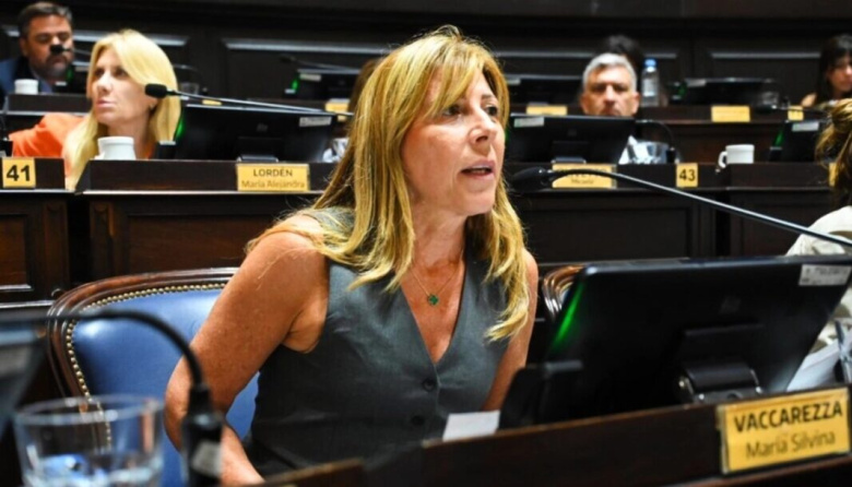 Silvina Vaccarezza ve “posible” aprobarlo antes del 10 de diciembre y advierte por impactos impositivos en pymes