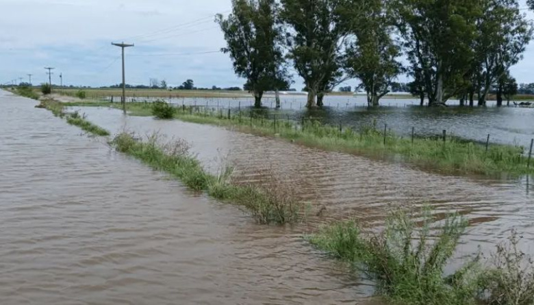 Pérdidas millonarias en Nueve de Julio: El 42% del Distrito quedó 'fuera de uso' por exceso hídrico