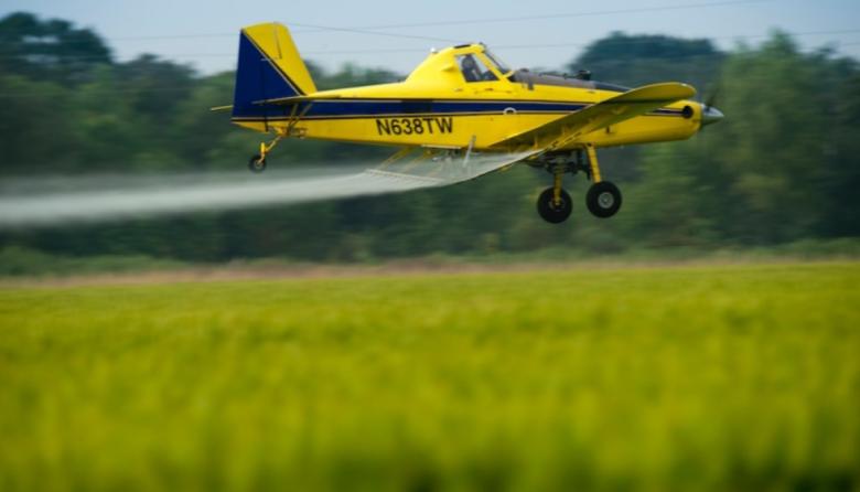 La Corte Suprema bonaerense pone freno a las fumigaciones impunes