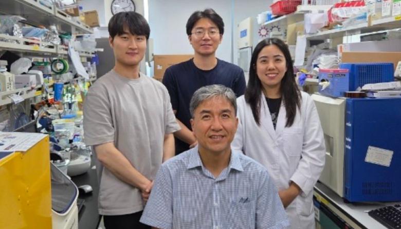 Científicos coreanos logran revertir células cancerígenas a un estado normal