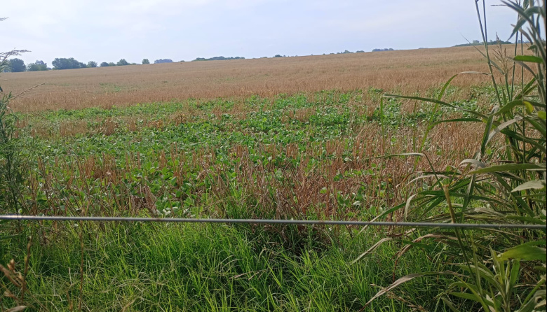 El clima cantó “bingo” en Junín