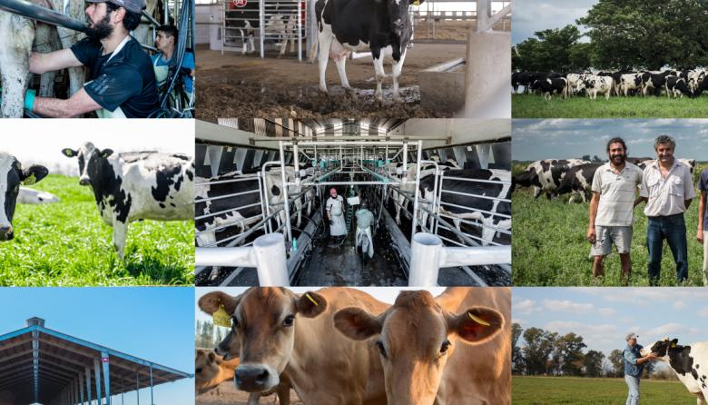 Mastellone Hnos. conmemora el Día del Tambero