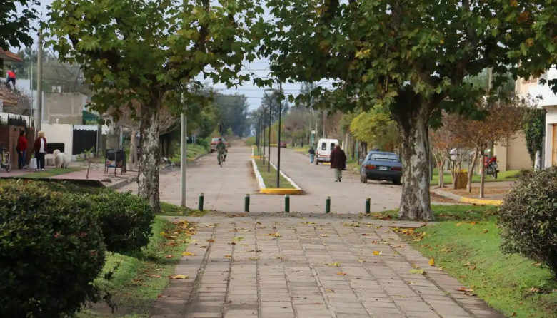 Nuevo foco de gripe aviar en la Provincia: Detectan un caso en una granja de Bolívar