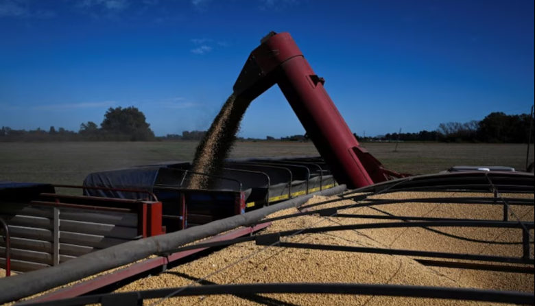 La falta de agua en zona núcleo achicó la producción en un millón de toneladas