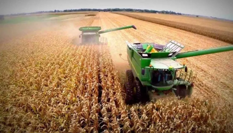 La economía creció 4,4% en 2025