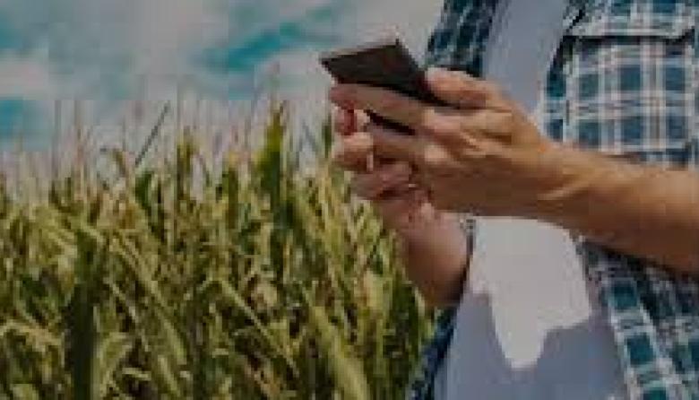 Cuando el campo se ajusta, la ciudad también