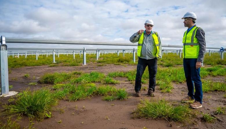 Fiorini, el impostor