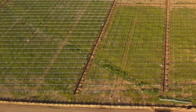 Junín y Lincoln se suman al mapa energético bonaerense