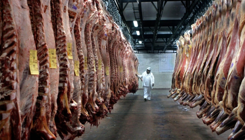 Crisis en frigoríficos: Advierten por pérdida de empleos y menor actividad en la industria cárnica